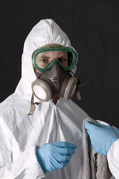 Trusted Carlsbad, CA Mold Removal Experts